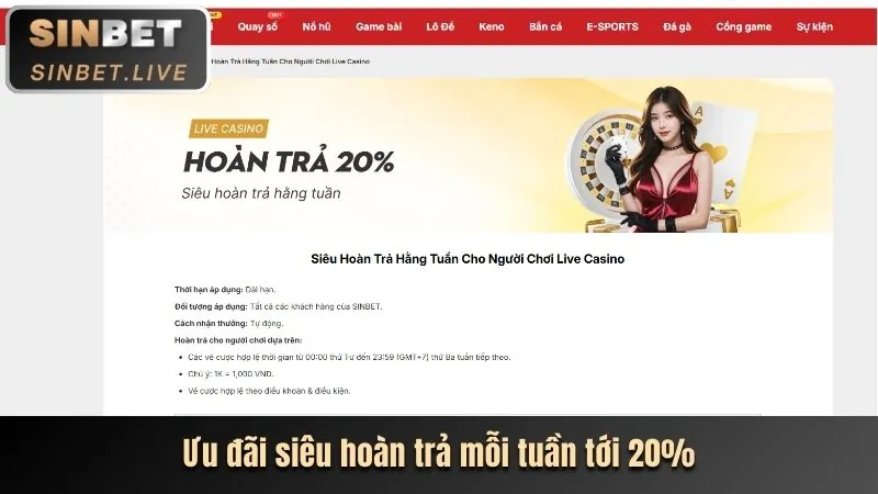 Cá cược các môn thể thao khác